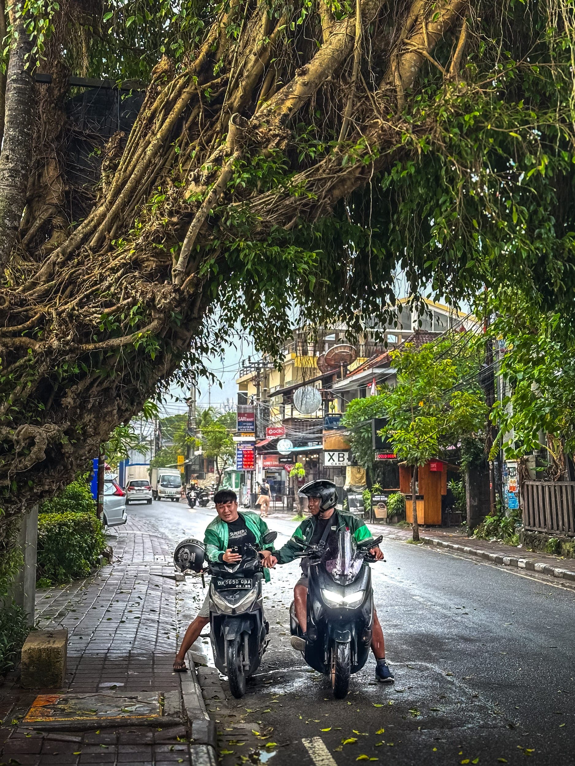 Photographie voyage — Voyage 14